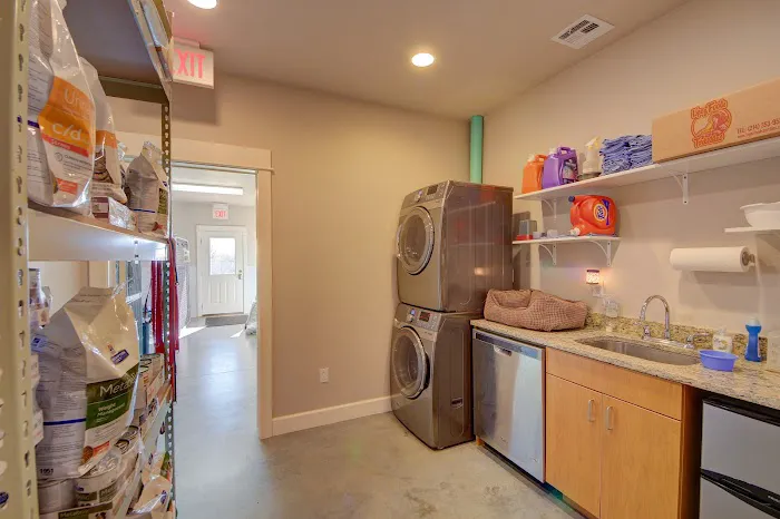 VCA Collinsville Animal Hospital Picture 9