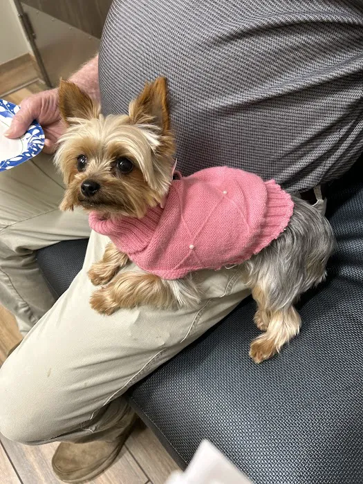 Family Animal Medicine Picture 3