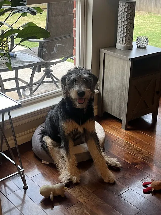 Family Animal Medicine Picture 9