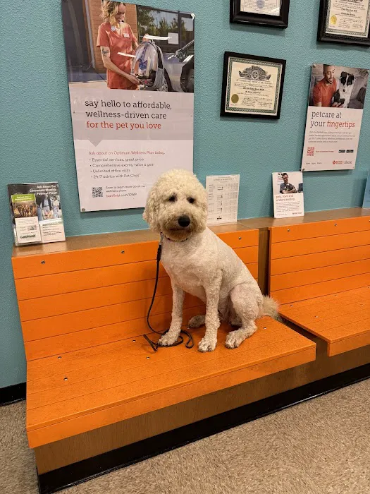 Banfield Pet Hospital Picture 2