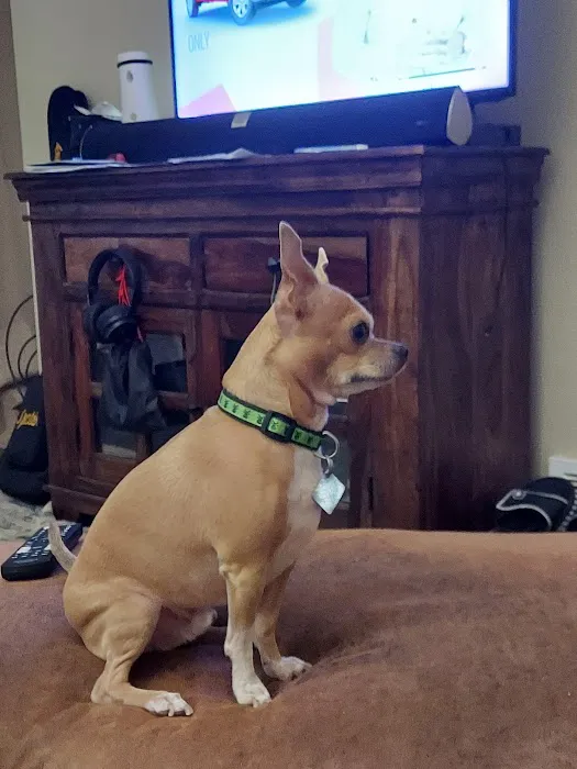 Banfield Pet Hospital Picture 3