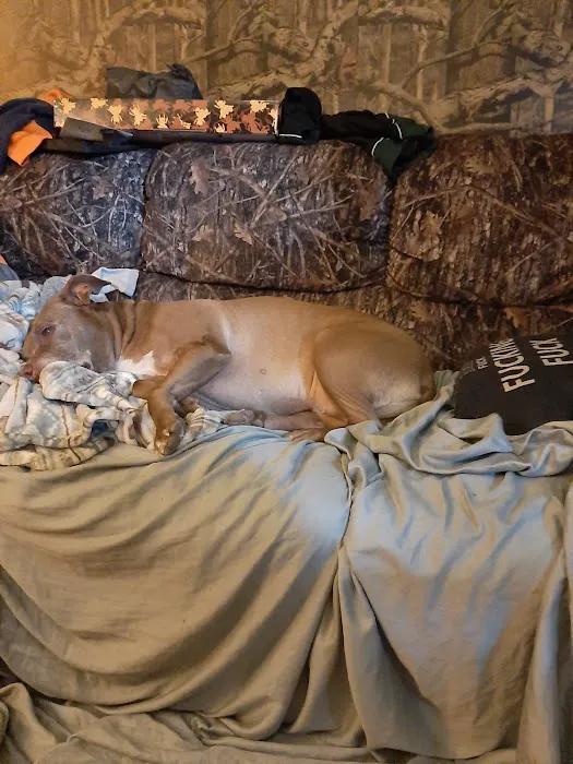 Banfield Pet Hospital Picture 5