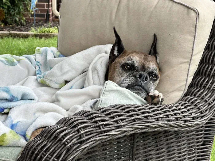 SAHO Owasso Animal Hospital Picture 1