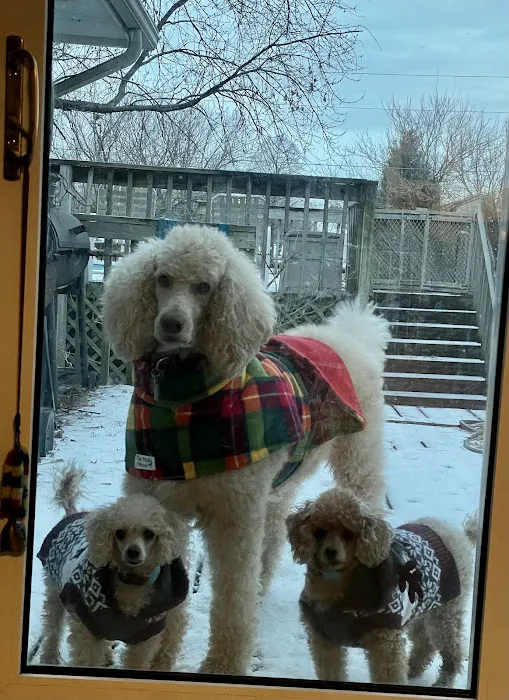 SAHO Owasso Animal Hospital Picture 3