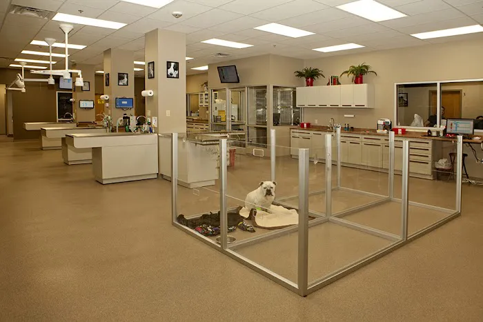 SAHO Owasso Animal Hospital Picture 7