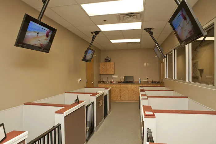 SAHO Owasso Animal Hospital Picture 10