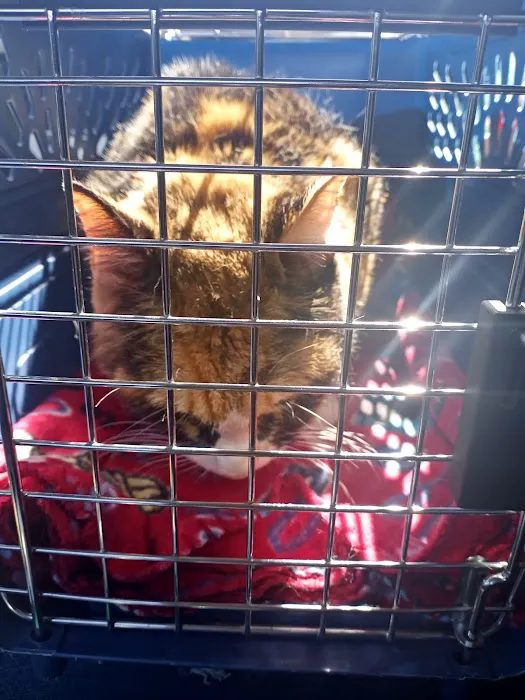 VCA Owasso Animal Medical Center Picture 2