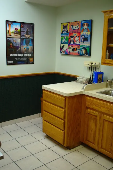 VCA Owasso Animal Medical Center Picture 9