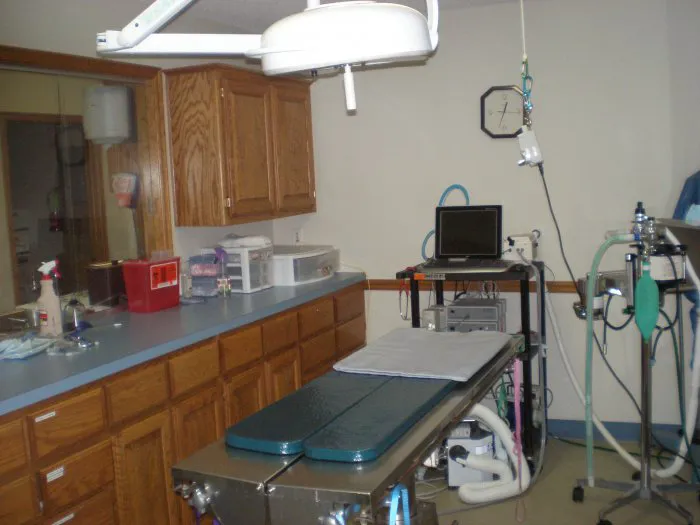 VCA Owasso Animal Medical Center Picture 6