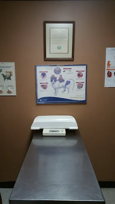 Ator Heights Animal Hospital Picture 3