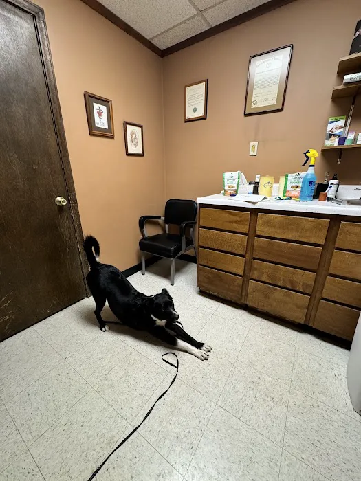 Ator Heights Animal Hospital Picture 6