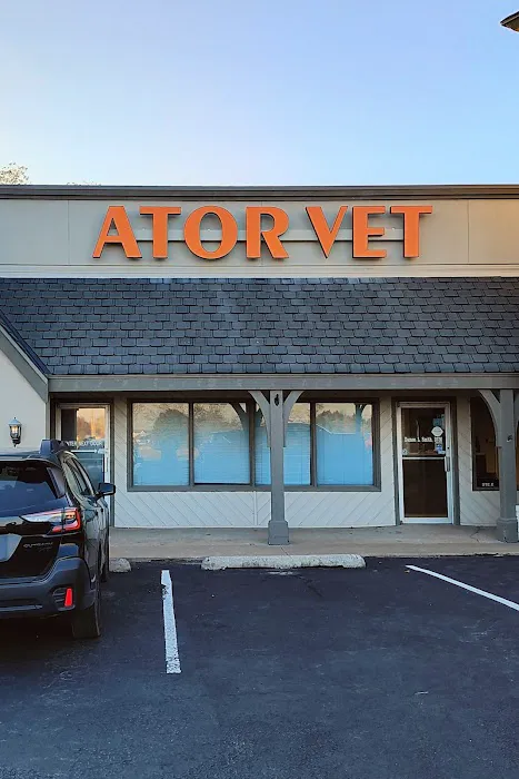 Ator Heights Animal Hospital Picture 4
