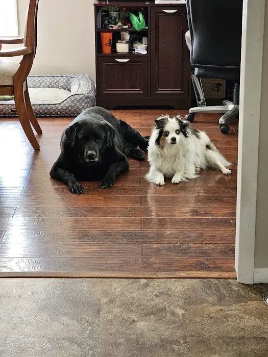 Ator Heights Animal Hospital Picture 8