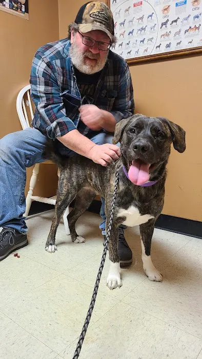 Ator Heights Animal Hospital Picture 9