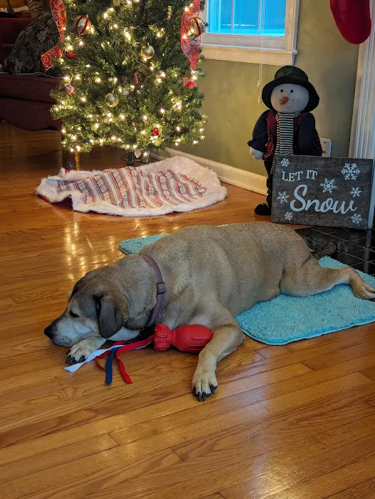 Catoosa Small Animal Hospital Picture 2