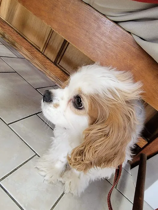 Catoosa Small Animal Hospital Picture 3