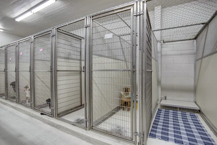 Catoosa Small Animal Hospital Picture 6