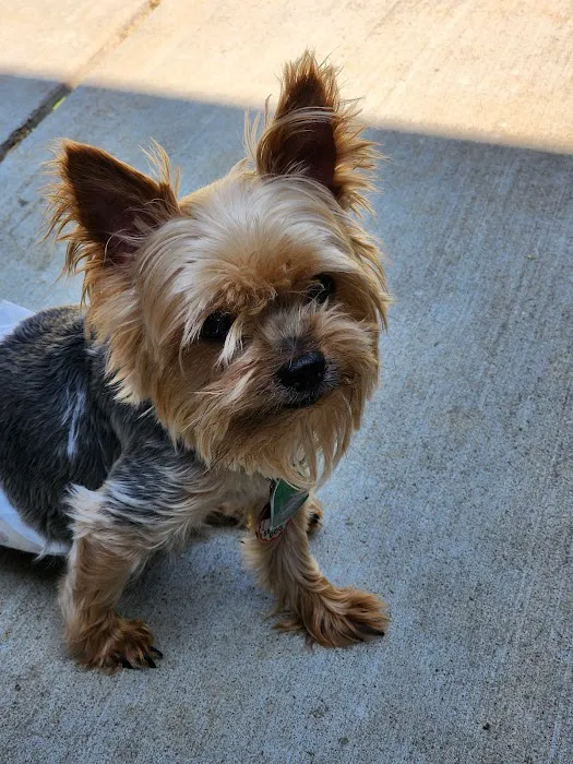 Catoosa Small Animal Hospital Picture 4