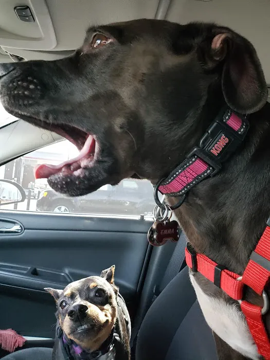 Catoosa Small Animal Hospital Picture 8