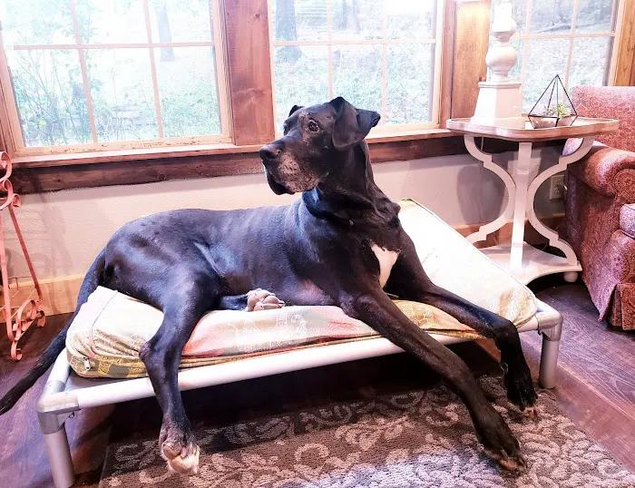 Catoosa Small Animal Hospital Picture 9