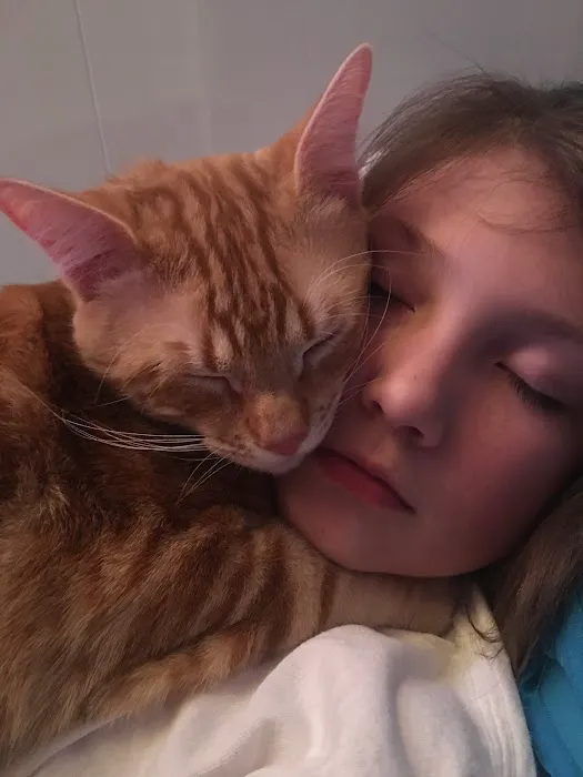 Animal Medical Center Picture 3