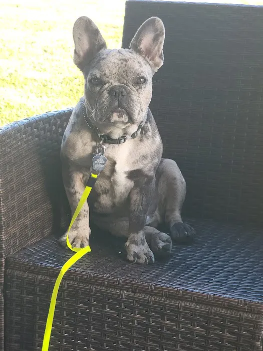 Eastside Animal Hospital Picture 1