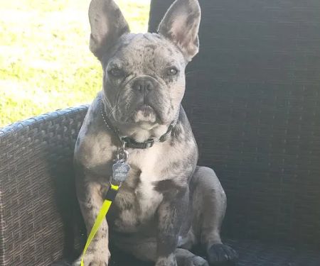 Eastside Animal Hospital