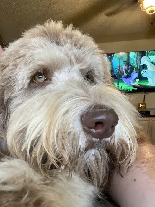 Eastside Animal Hospital Picture 3