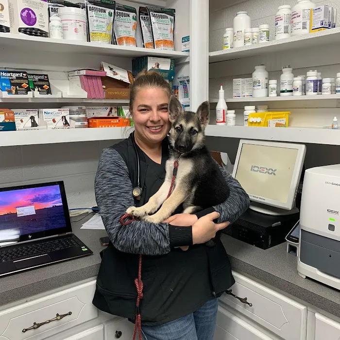 Eastside Animal Hospital Picture 7