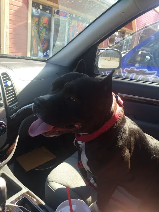 Eastside Animal Hospital Picture 5