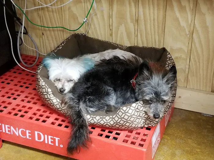 Northside Veterinary Clinic Picture 2