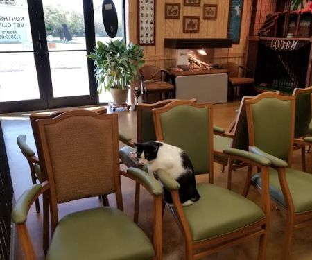 Northside Veterinary Clinic