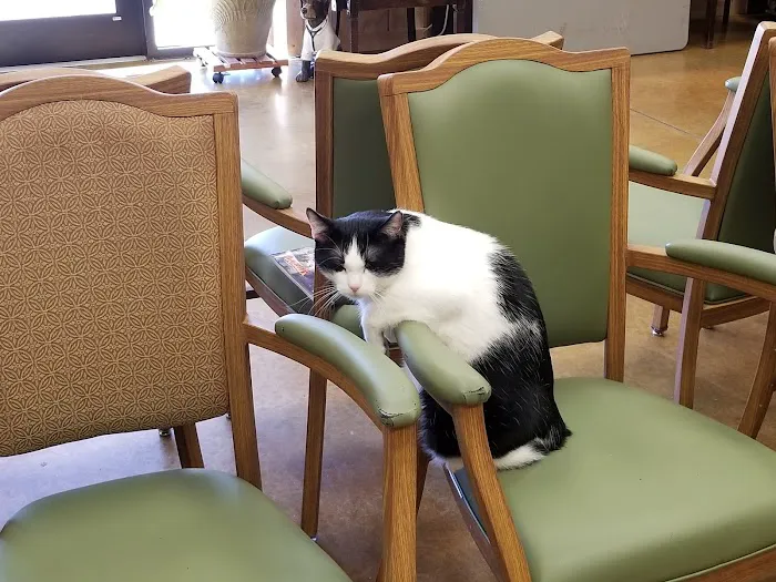 Northside Veterinary Clinic Picture 3