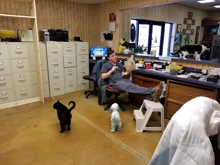 Northside Veterinary Clinic Picture 4