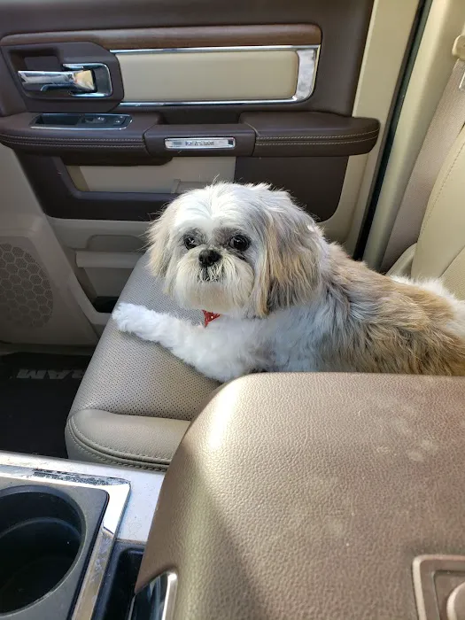 Northside Veterinary Clinic Picture 10