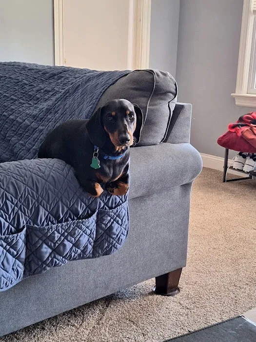 Northside Veterinary Clinic Picture 8