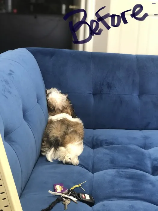 Northside Veterinary Clinic Picture 7