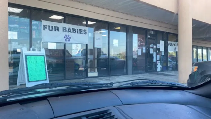 Fur Babies Picture 2