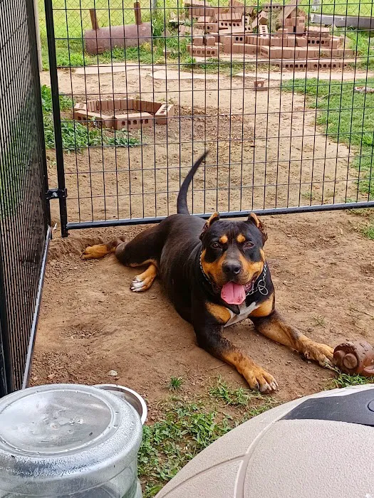 CareVet of Honor Heights Picture 8