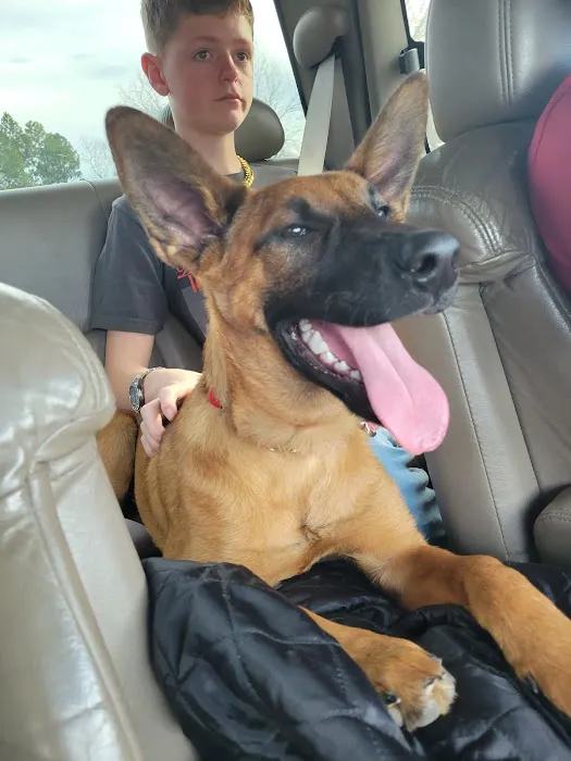 CST Veterinary Services Picture 2