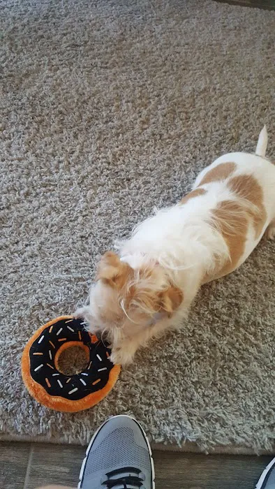 CST Veterinary Services Picture 4