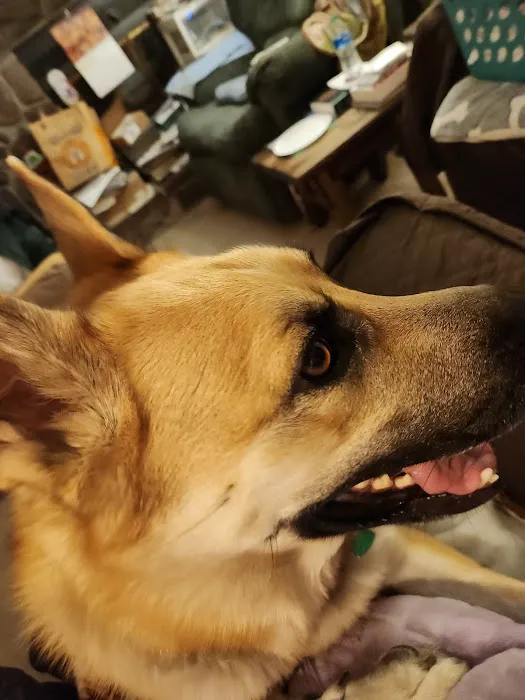 Animal Medical Center Picture 5