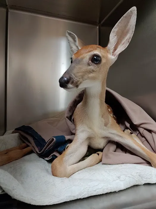 Animal Medical Center Picture 2