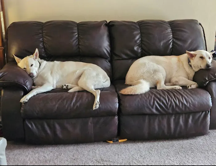 Animal Medical Center Picture 3