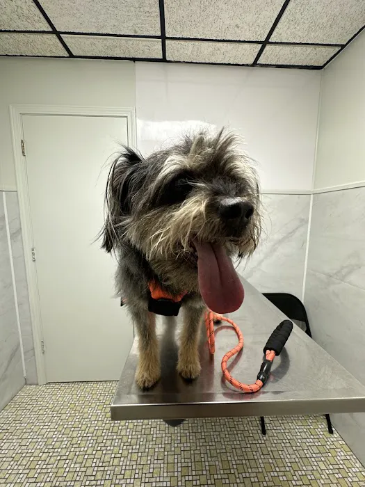 Animal Medical Center Picture 6