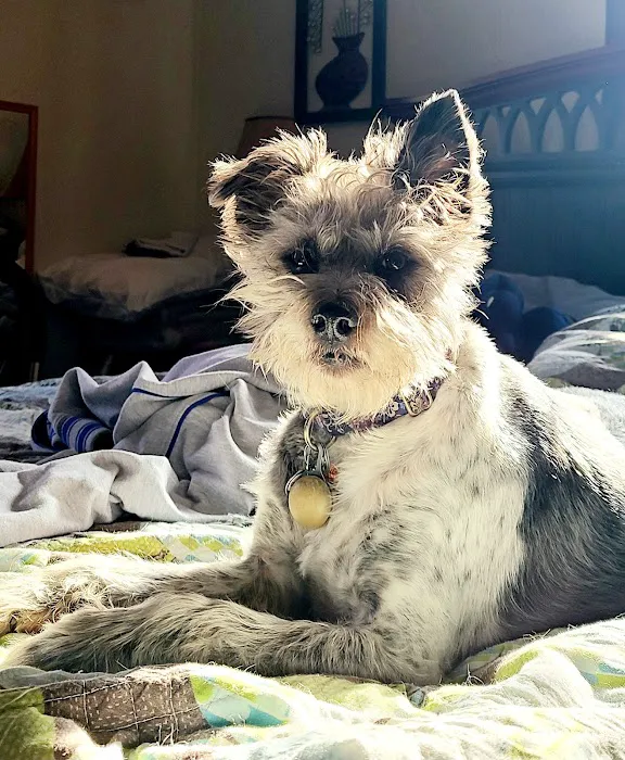 Animal Medical Center Picture 10