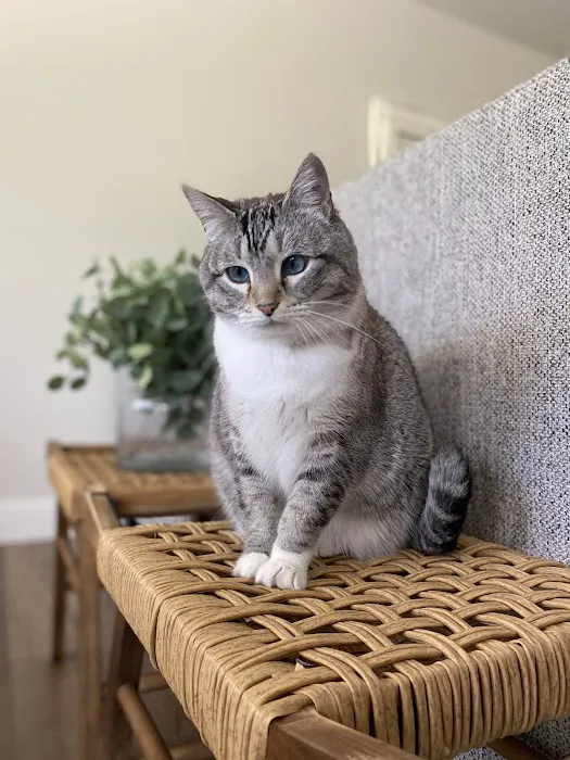 Animal Medical Center Picture 9