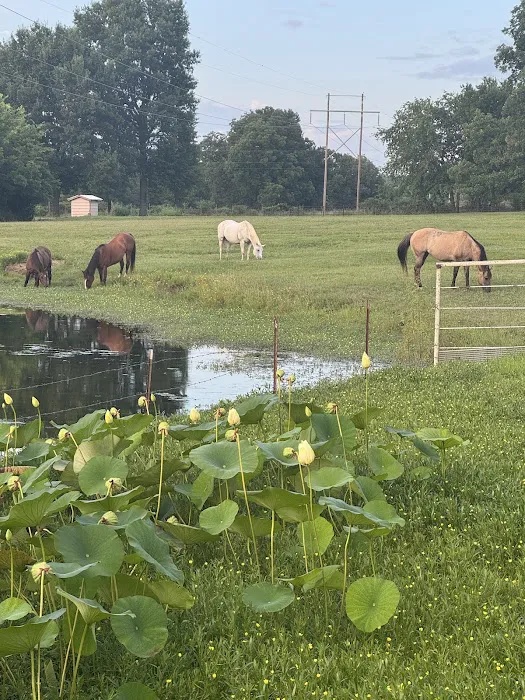 Animal Medical Center Picture 8