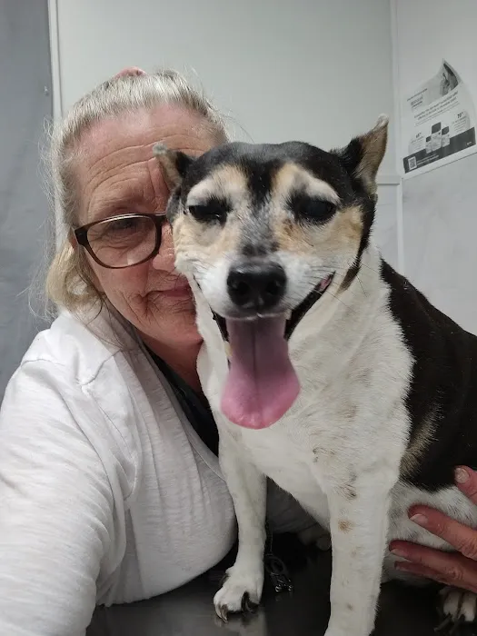 Animal Medical Center Picture 7