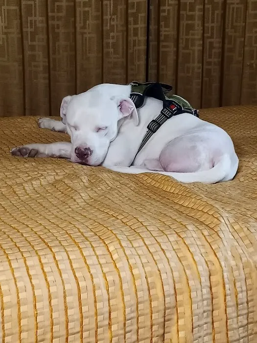 Oak Grove Veterinary Hospital INC. Picture 1